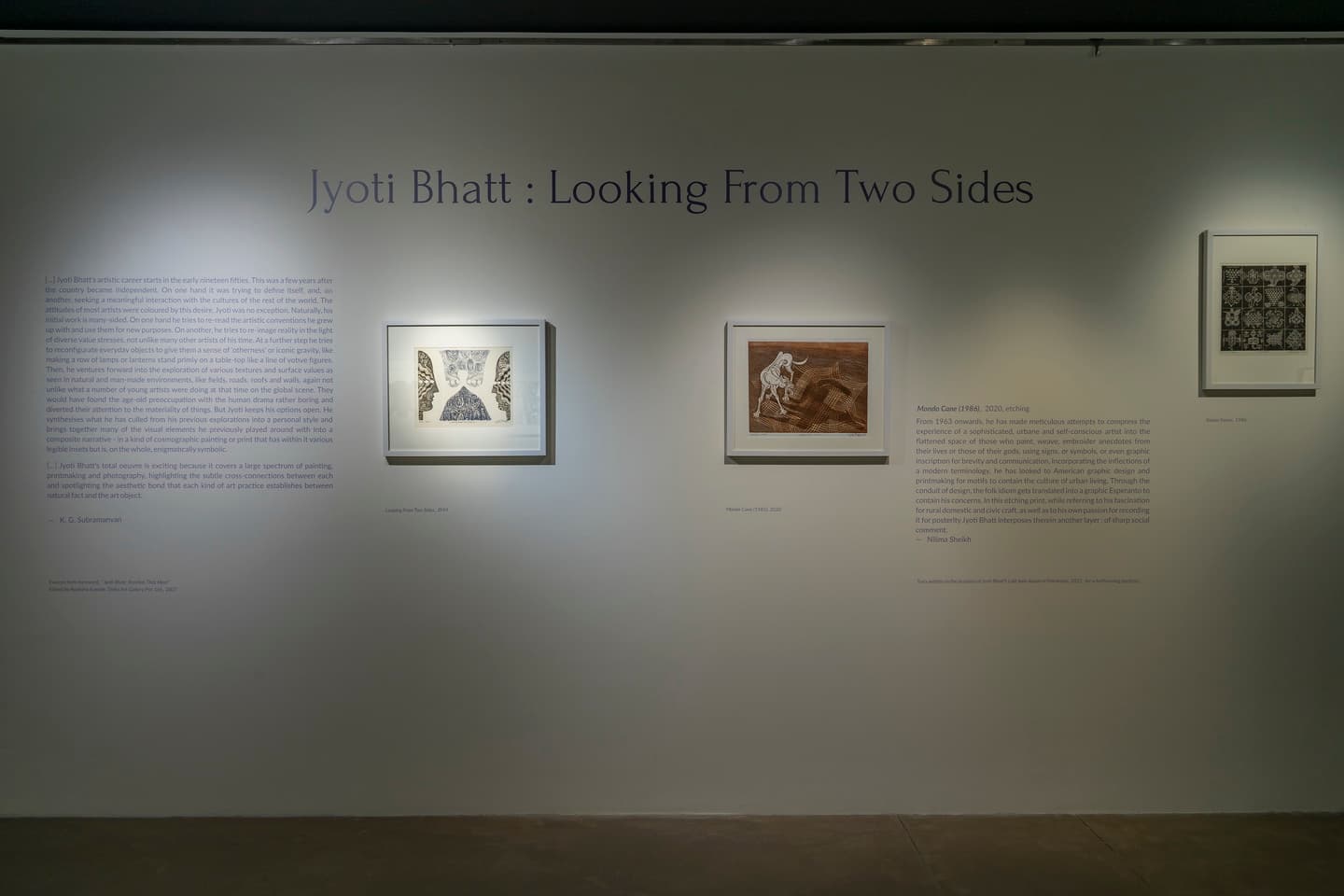 Looking From Two Sides: Jyoti Bhatt - 2